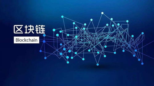 區塊鏈 天生的隱私保護生態平衡者及其技術推廣