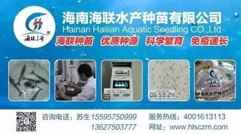 行情高漲激發養戶熱情，淡水魚功能料時代 超越噱頭的技術深耕與價值回歸