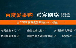 技術培訓與愛采購運營一年的費用解析及技術推廣建議