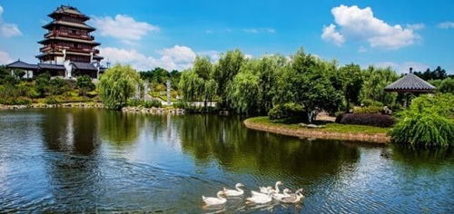 心動(dòng)之旅！僅99元，12月3日韶山、花明樓純玩一日游，開(kāi)啟紅色文化體驗(yàn)