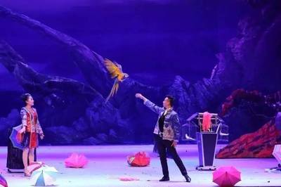 2017年朝陽(yáng)公園大馬戲 全方位票務(wù)代理與商務(wù)咨詢指南